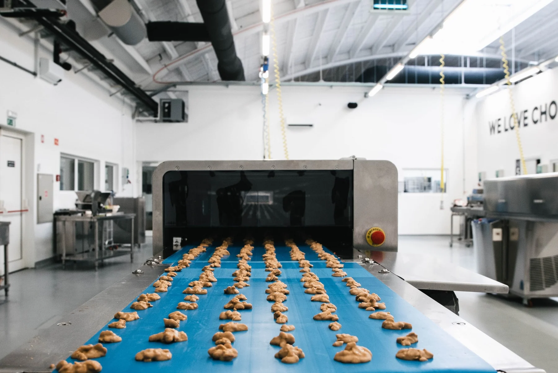 The Naturalica production line in Maribor